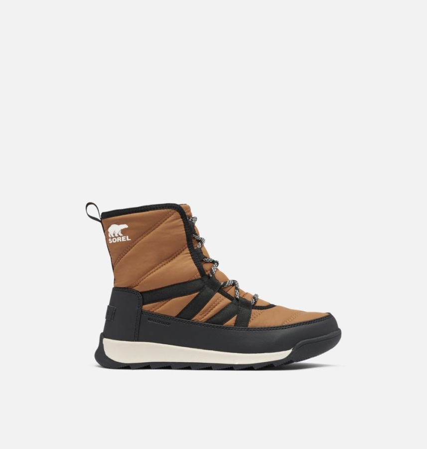 Sorel Polska Elk Damskie Buty Zimowe Whitney Ii Krótkie Koronkowe
